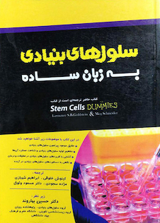 عکس سلول های بنیادی به زبان ساده